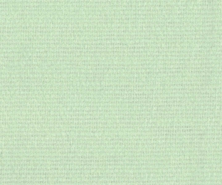 Deco molleton light by the meter 130g/m² pale green F209 2.6m wide